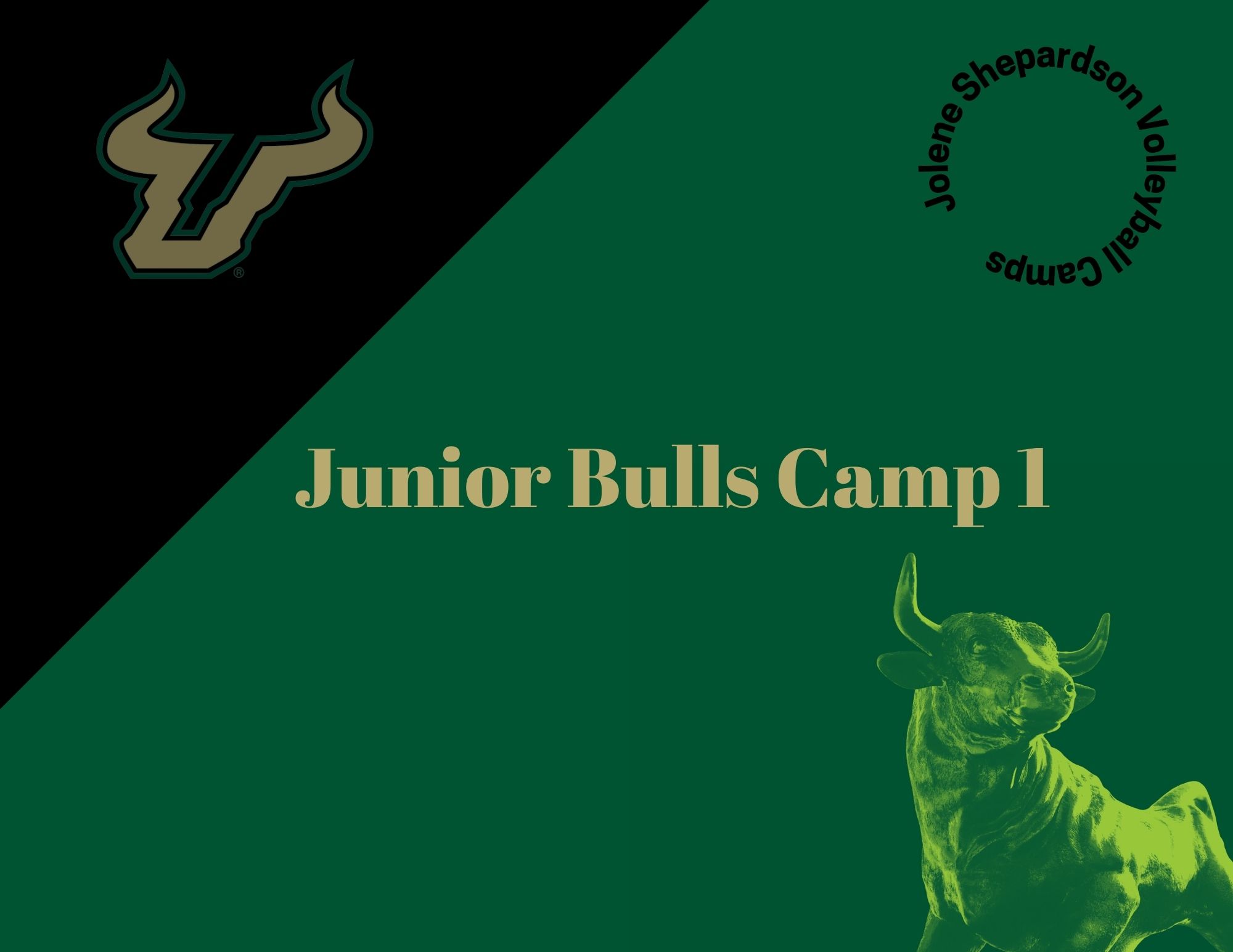 Junior Bulls Camp I - Registration Closed event image